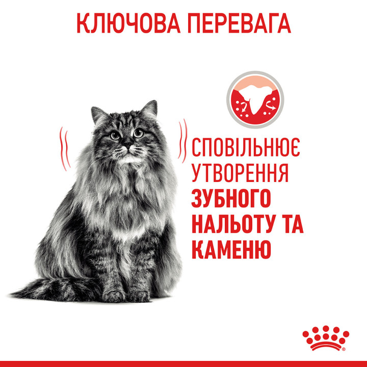 Dental Care Сухий Корм Для Дорослих Котів Турбота Про Зуби 1,5 кг