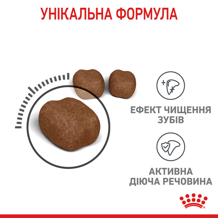 Dental Care Сухий Корм Для Дорослих Котів Турбота Про Зуби 8 кг